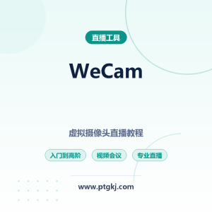 WeCam 虚拟摄像头使用全教程：从入门到高阶，解锁专业直播与视频会议新玩法