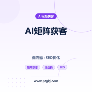 AI 智能矩阵获客系统深度评测：功能、爆店码操作与 SEO 优化全攻略