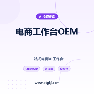 2026 一站式电商工作台 OEM贴牌：AI主图/SKU图/详情页/视频 国内跨境全平台（会员）