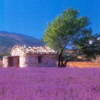 超新星残骸的头像-平头哥科技网