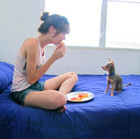 脉冲骑士的头像-平头哥科技网