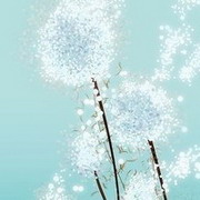 黑色幽默的头像-平头哥科技网