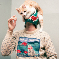 竹韵清风的头像-平头哥科技网