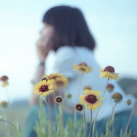 星影纱的头像-平头哥科技网