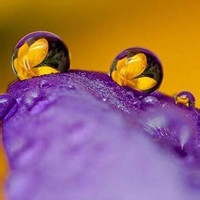 纳米守望者的头像-平头哥科技网