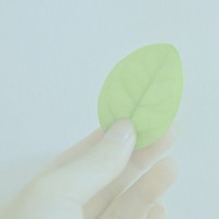 钢琴诗人的头像-平头哥科技网