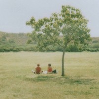 态度宣言的头像-平头哥科技网