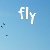 RevenantHush的头像-平头哥科技网