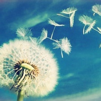 铜齿轮的头像-平头哥科技网