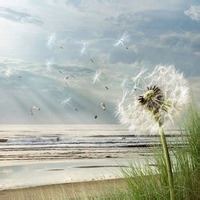 噬魂妖僧的头像-平头哥科技网