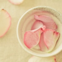 僵尸王的头像-平头哥科技网