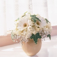 小凯的头像-平头哥科技网