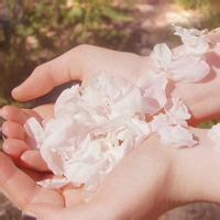 前台的影子的头像-平头哥科技网