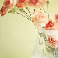 Ghoulfang的头像-平头哥科技网