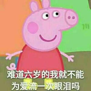 炽焰圣歌的头像-平头哥科技网