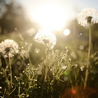 夜话者的头像-平头哥科技网