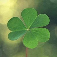 古早味的头像-平头哥科技网