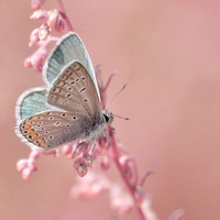 流云归处的头像-平头哥科技网