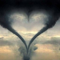 寂夜长思的头像-平头哥科技网