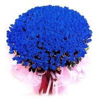 袋鼠的头像-平头哥科技网