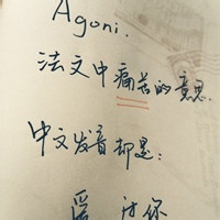 茉茉的头像-平头哥科技网