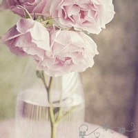 Fire小火龙的头像-平头哥科技网