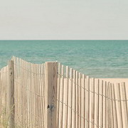 Sprout的头像-平头哥科技网