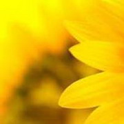 星星圈的头像-平头哥科技网